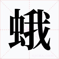蛾