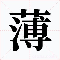 薄