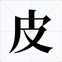 皮