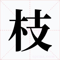 枝