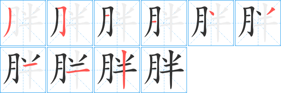 胖的笔顺写法