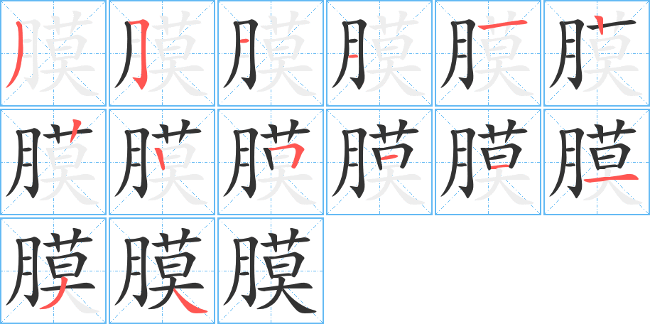 膜的笔顺写法
