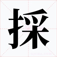 採