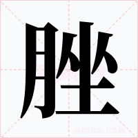 脞