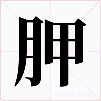 胛