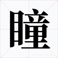 瞳