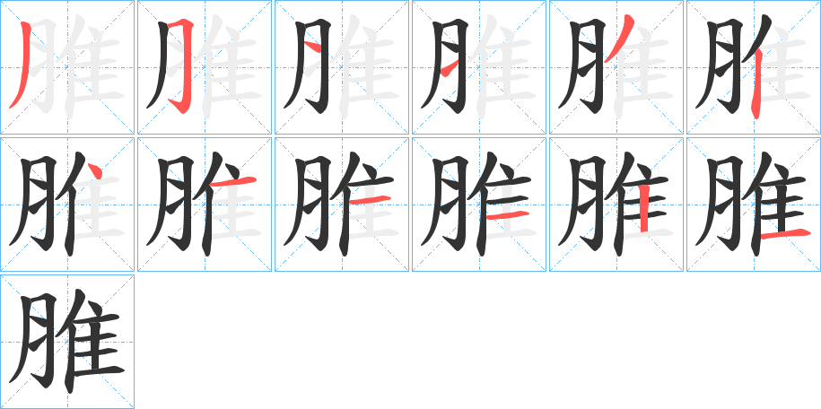 脽的笔顺写法