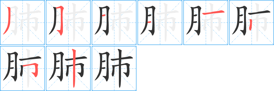 肺的笔顺写法