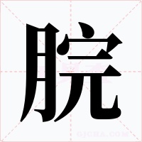 脘