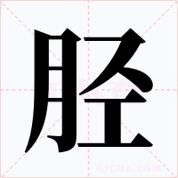胫