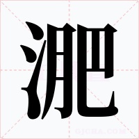 淝