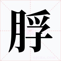 脬