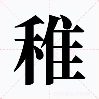 稚