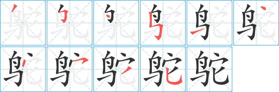 鸵的笔顺写法