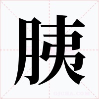 胰