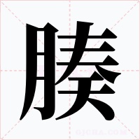 腠