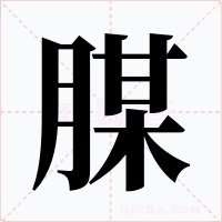 腜