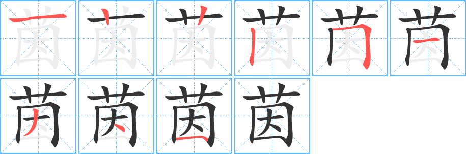茵的笔顺写法
