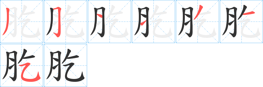 肐的笔顺写法