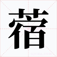 蓿
