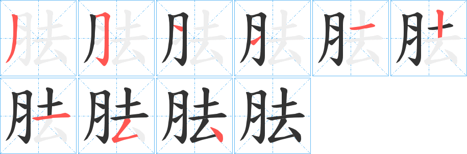 胠的笔顺写法