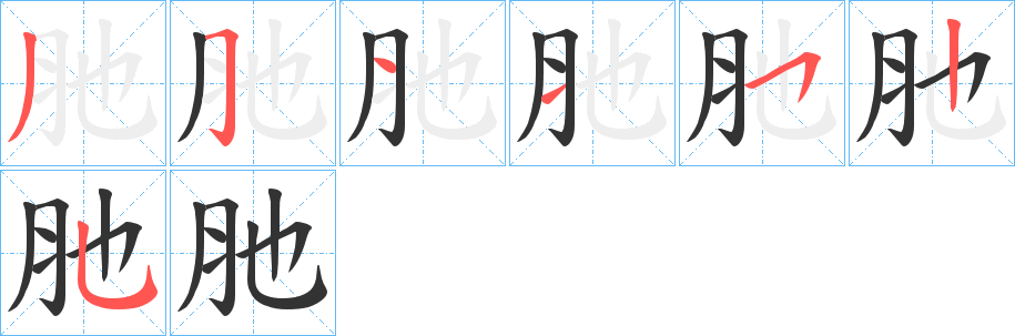 肔的笔顺写法