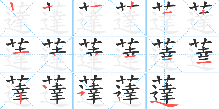 薘的笔顺写法
