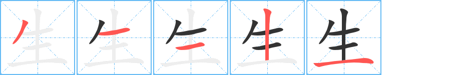 生的笔顺写法