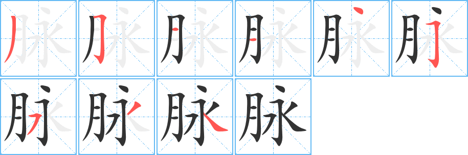 脉的笔顺写法