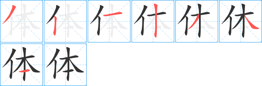 体的笔顺写法