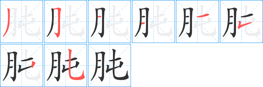 肫的笔顺写法