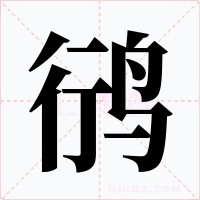 鸻