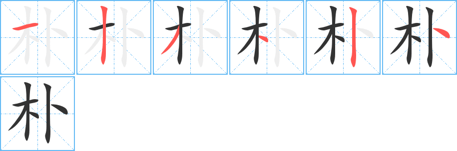 朴的笔顺写法