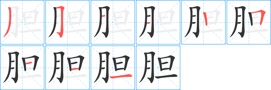 胆的笔顺写法