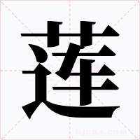 莲