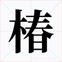 椿