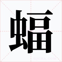蝠