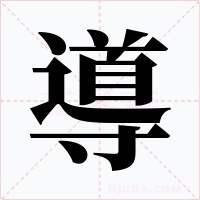 導