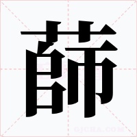 蒒