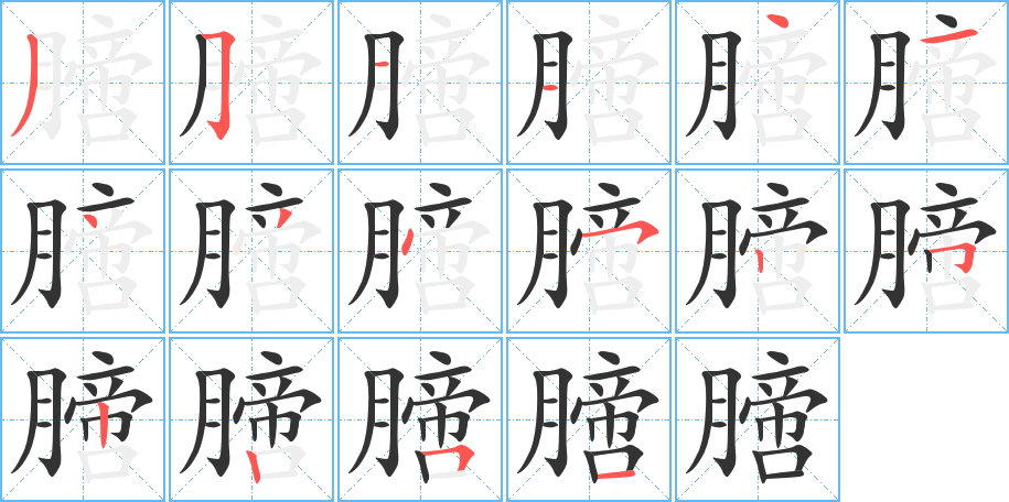 膪的笔顺写法