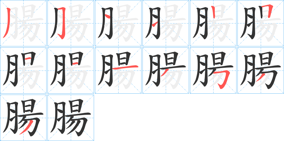 腸的笔顺写法