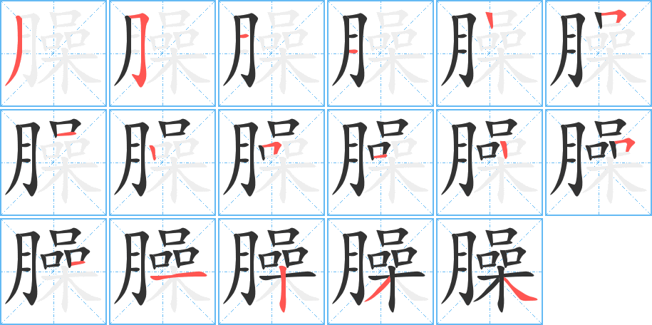 臊的笔顺写法