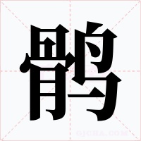 鹘