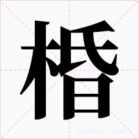 棔