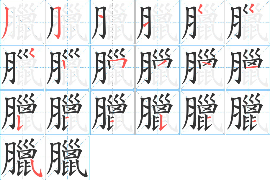 臘的笔顺写法