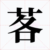 茖