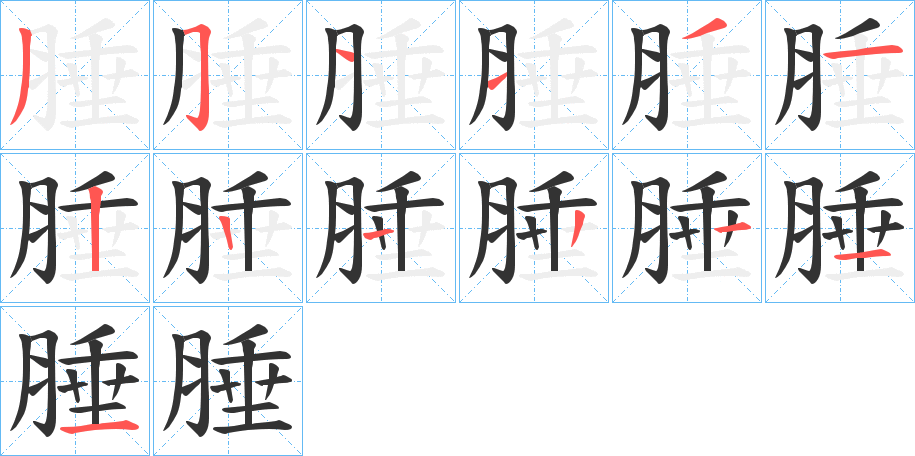 腄的笔顺写法