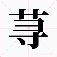 荨