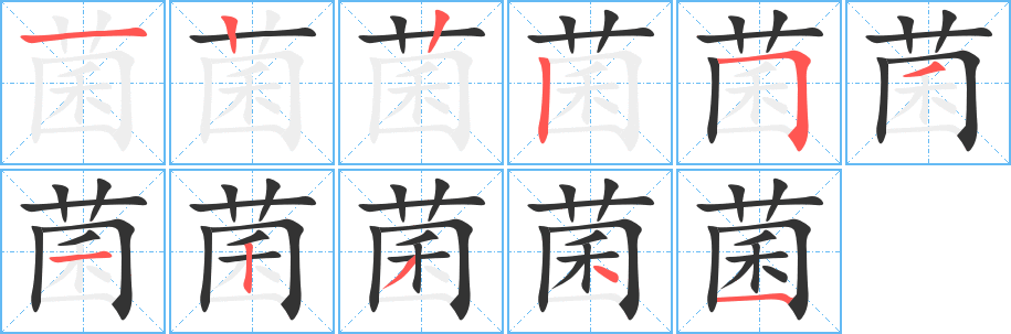 菌的笔顺写法