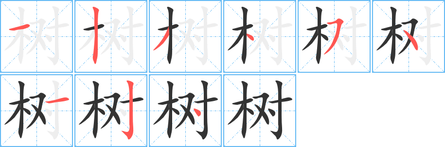树的笔顺写法